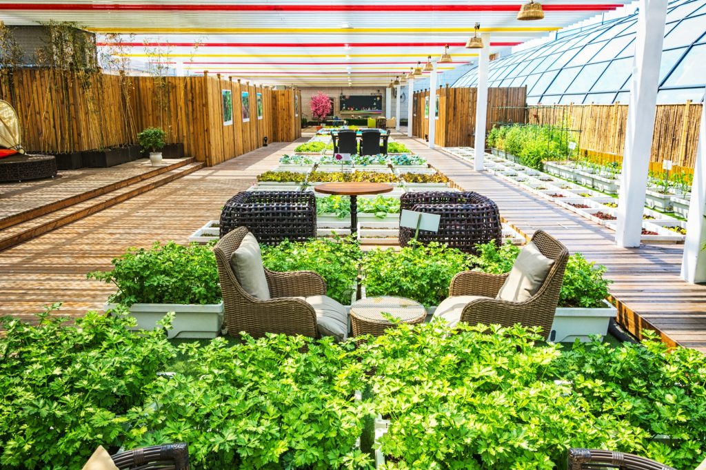 Ogródek restauracyjny otoczony własną ekologiczną uprawą warzyw. 